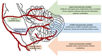 The importance of pre-operative neuroanatomical study in the surgical treatment of trigeminal neuralgia associated with multiple sclerosis